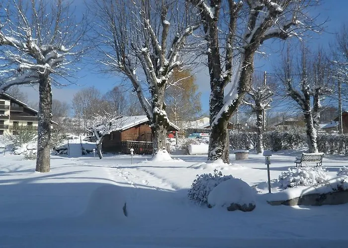 Le Bellevue